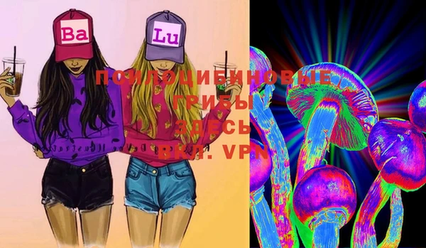 ГАЛЛЮЦИНОГЕННЫЕ ГРИБЫ Осинники