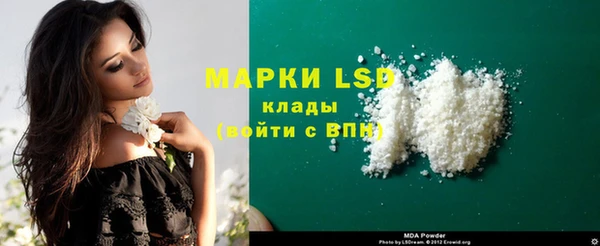 ГАЛЛЮЦИНОГЕННЫЕ ГРИБЫ Осинники