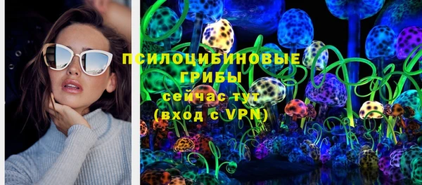 гашик Остров