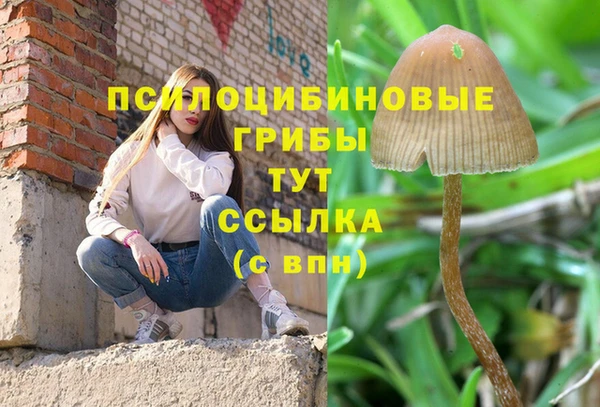не бодяженный Осташков