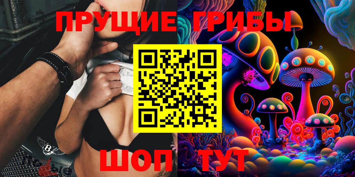 где продают наркотики  Белореченск  Псилоцибиновые грибы Psilocybe 