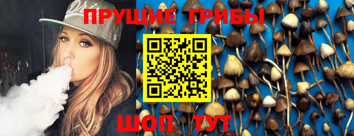 Галлюциногенные грибы Magic Shrooms Белореченск